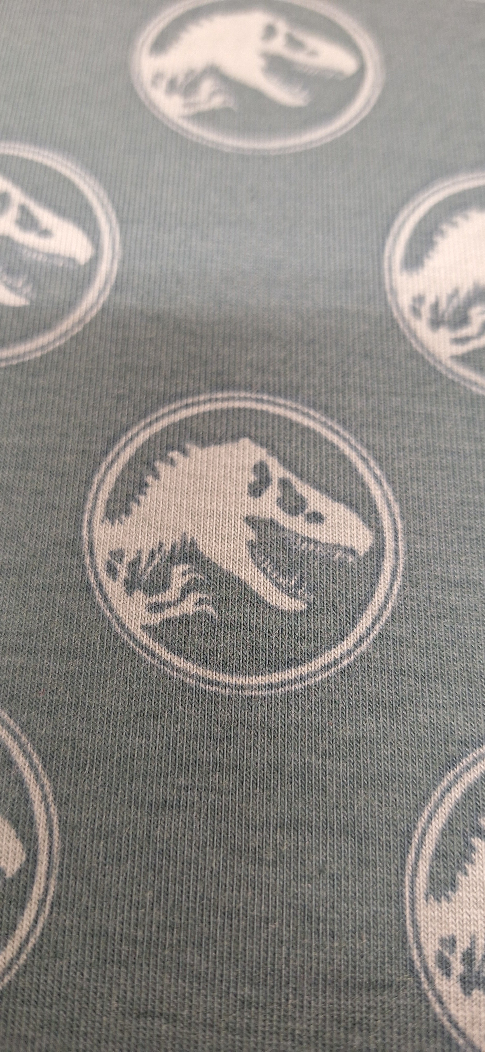 Baumwolljersey grün mit Dinosaurierköpfen