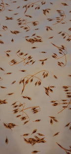 Baumwolljersey weiß mit braunen Ähren