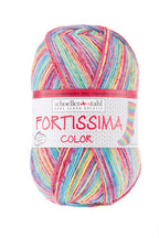 Schoeller + Stahl Fortissima Color 4-fach