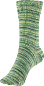 Schoeller + Stahl Fortissima Merino 4-fach