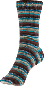 Schoeller + Stahl Fortissima Merino 4-fach
