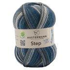 Austermann Step 4 Color