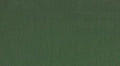 Baumwolle dunkelgrün (Popeline)