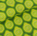 Bio-Baumwolljersey Lime