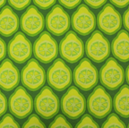 Bio-Baumwolljersey Lime