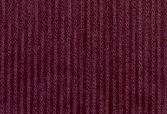 Bio-Cordnicky Rhododendron