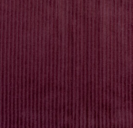 Bio-Cordnicky Rhododendron