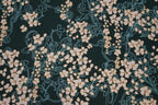 Popeline dunkelgrün mit Blütenmuster (Gütermann)