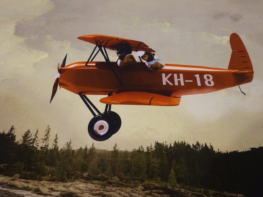 Baumwolljersey Panel hellgrün mit Flugzeug