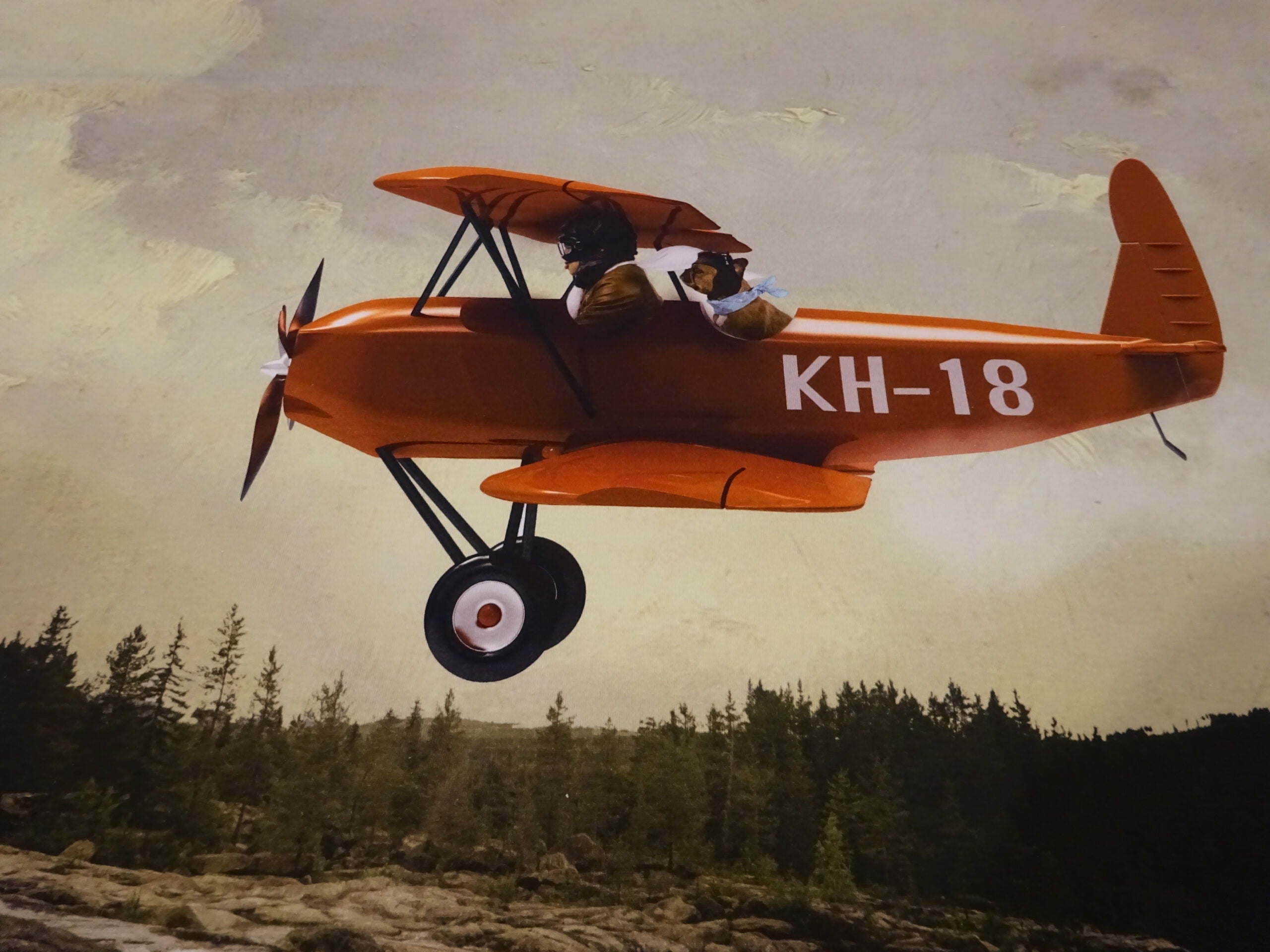 Baumwolljersey Panel hellgrün mit Flugzeug