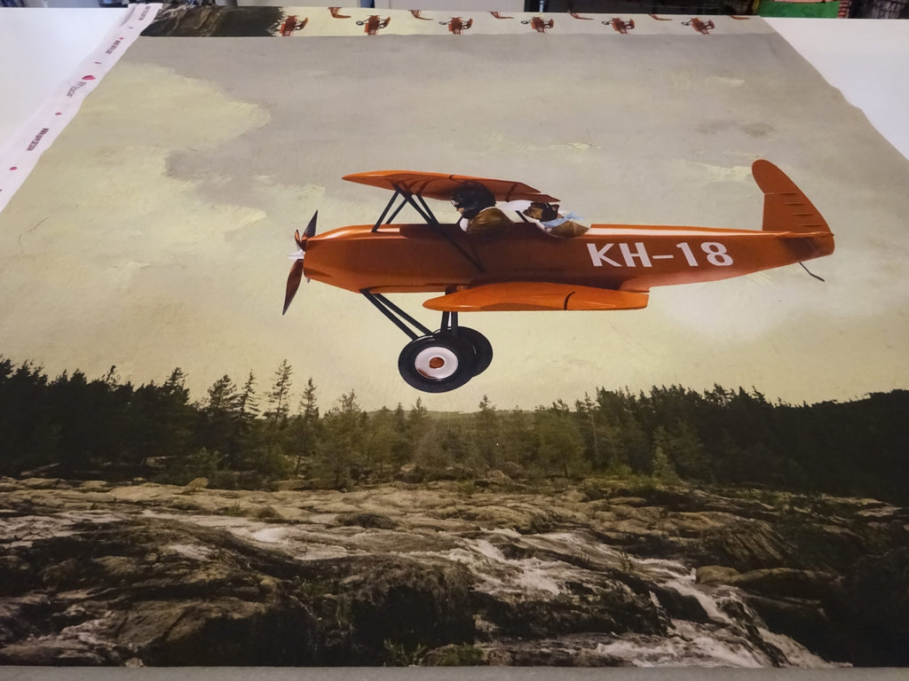 Baumwolljersey Panel hellgrün mit Flugzeug