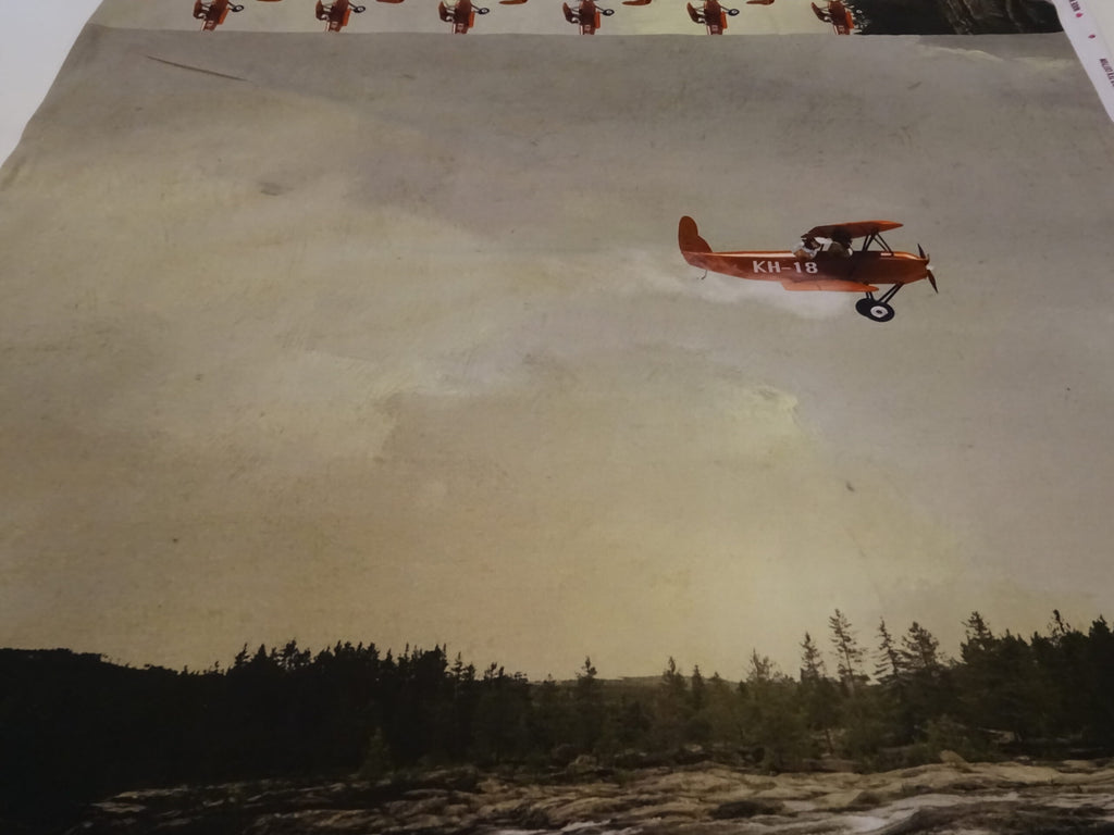 Baumwolljersey Panel hellgrün mit Flugzeug