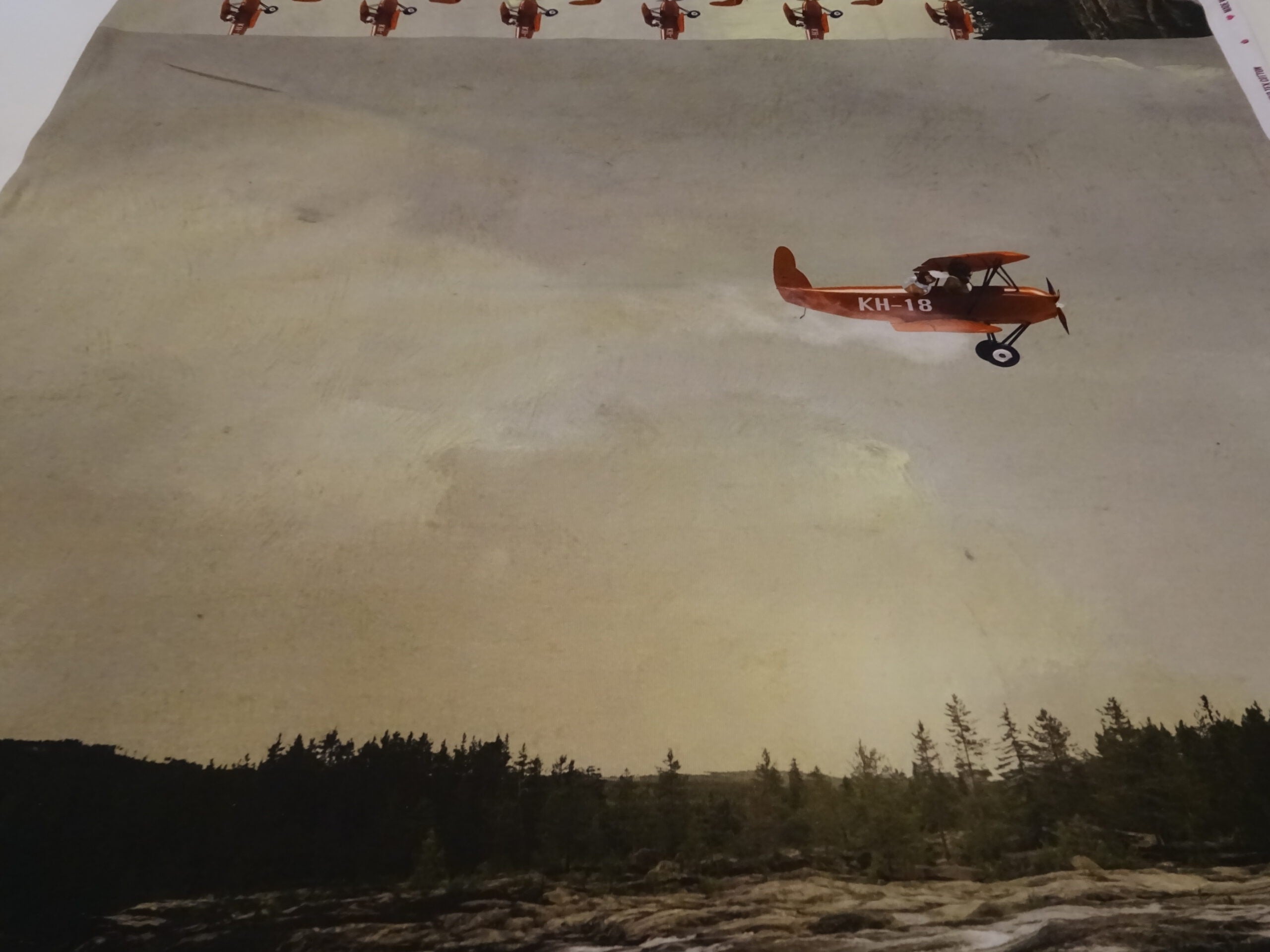 Baumwolljersey Panel hellgrün mit Flugzeug