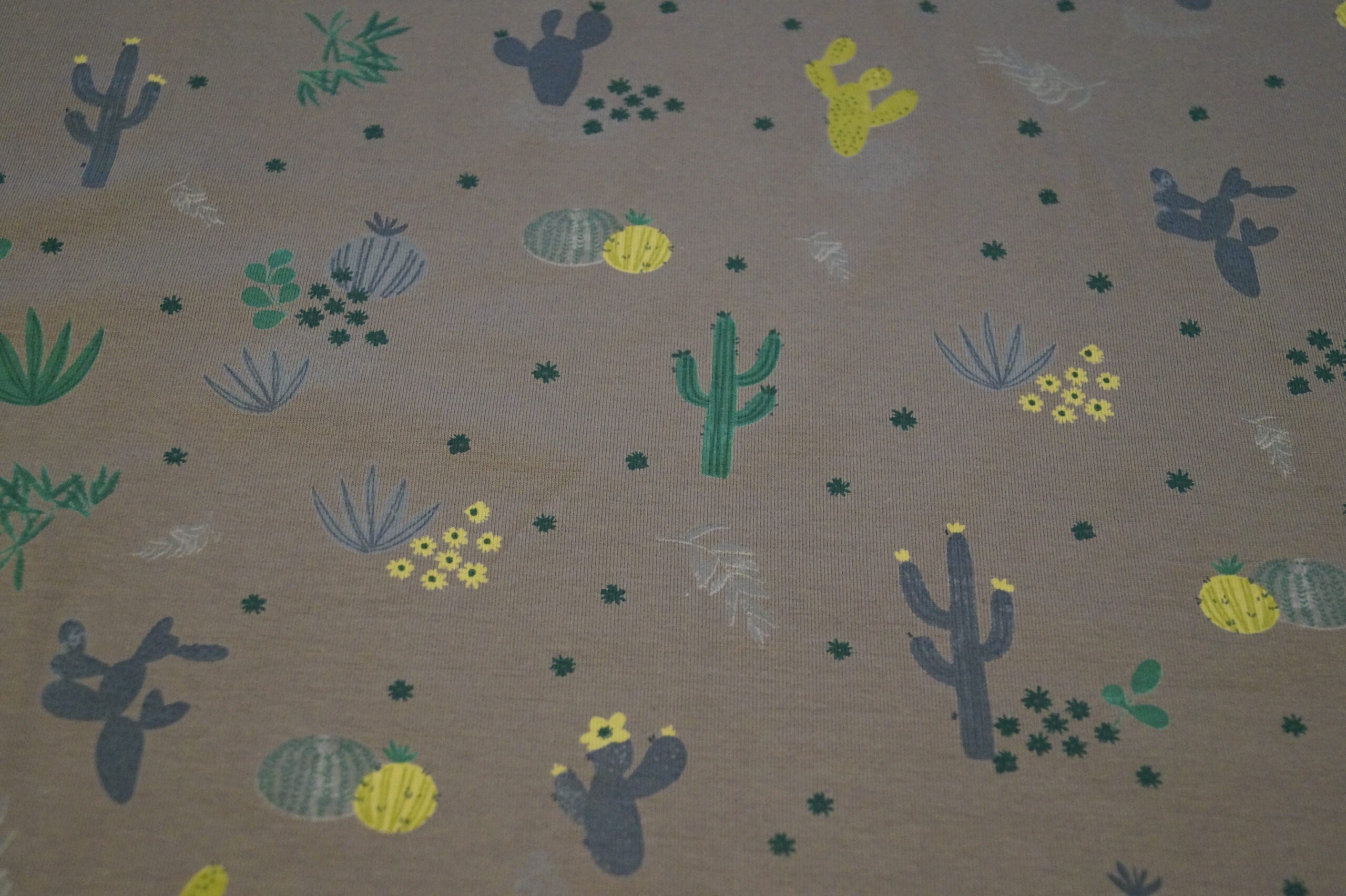 Baumwolljersey mittelgrau mit Kakteen