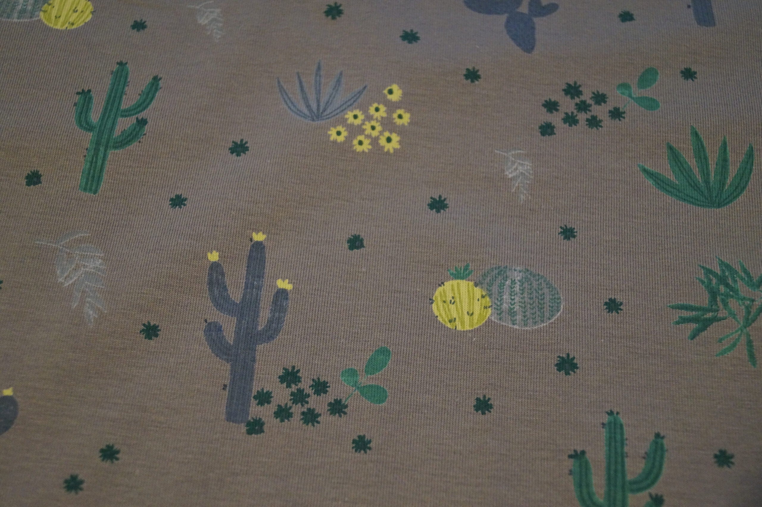 Baumwolljersey mittelgrau mit Kakteen