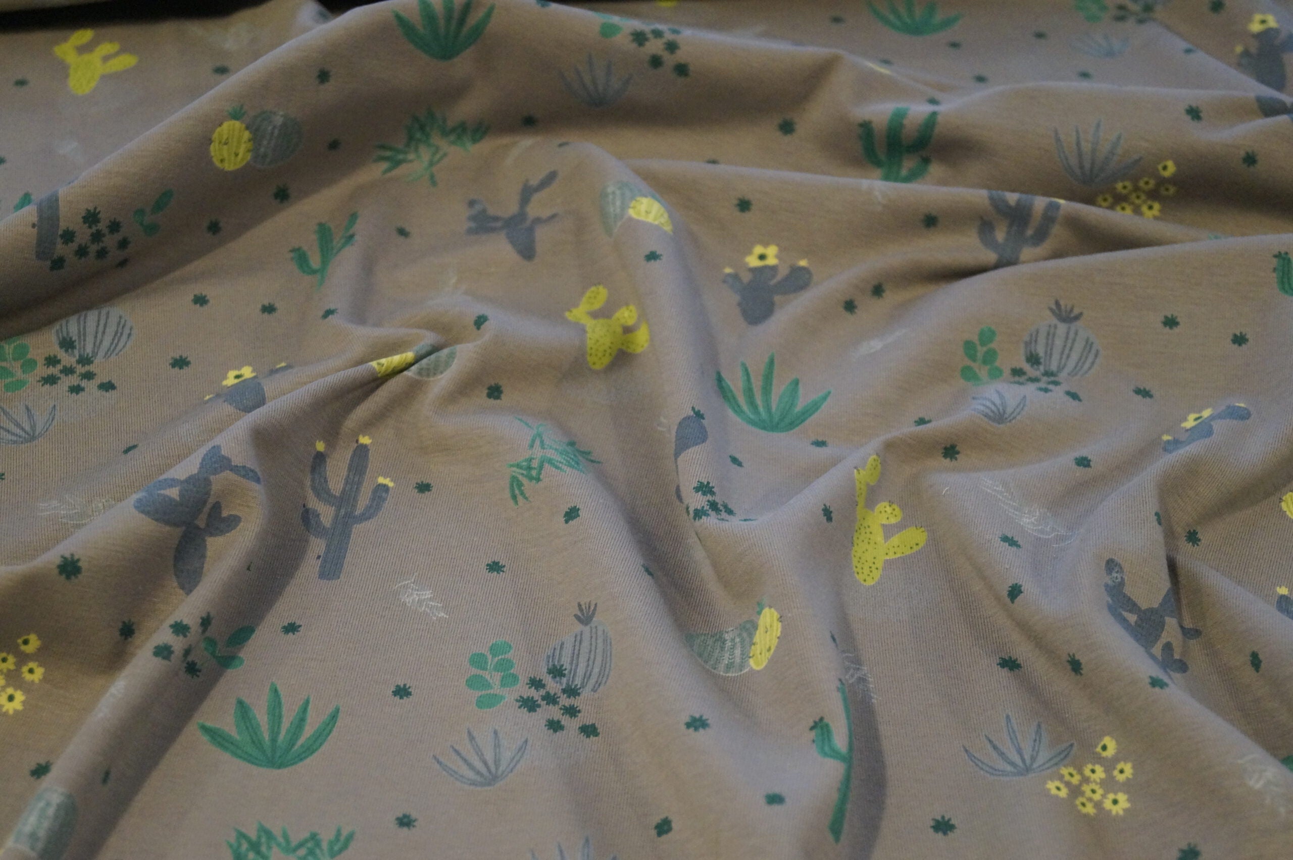 Baumwolljersey mittelgrau mit Kakteen