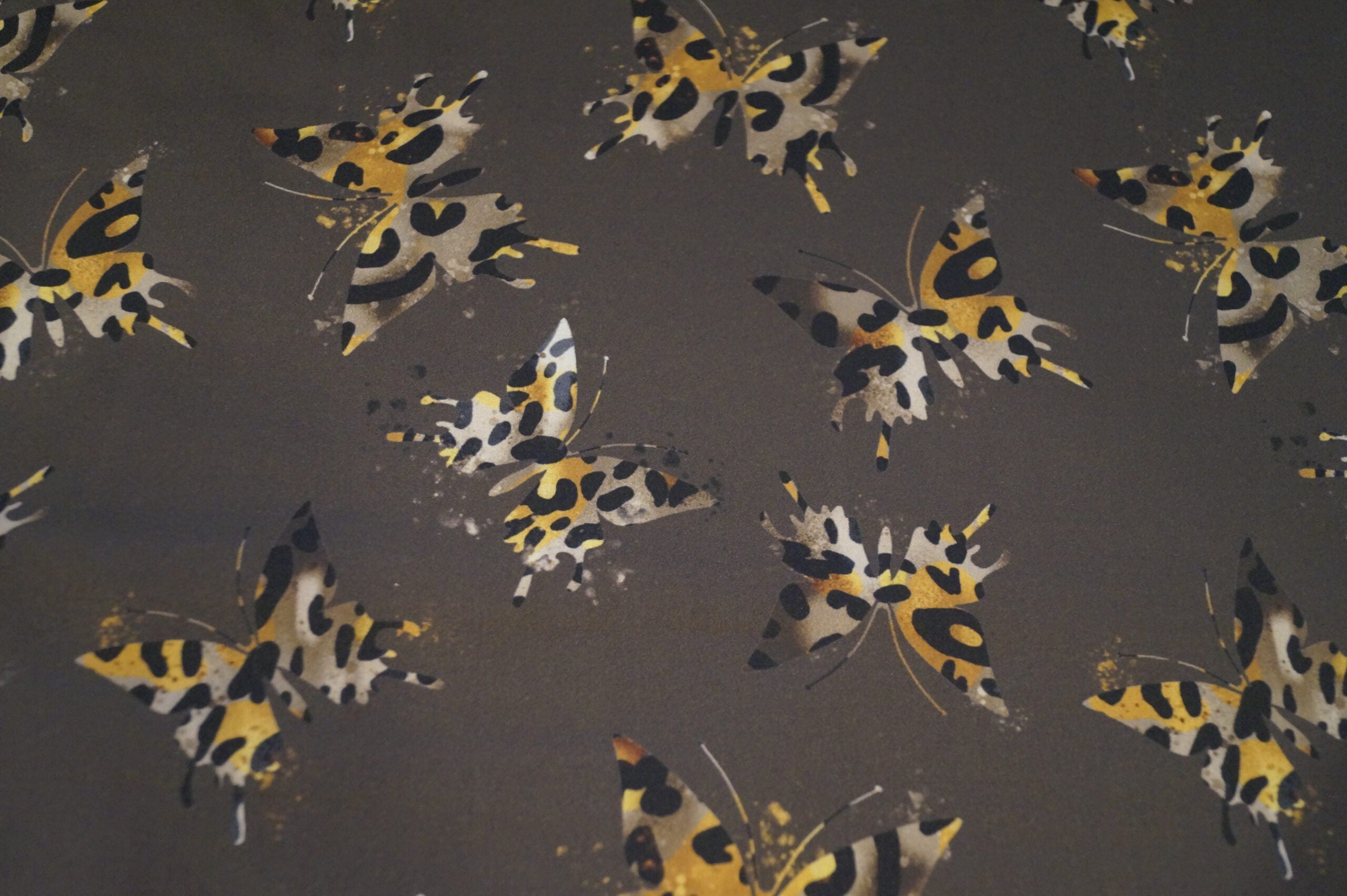 Softshell braun mit Schmetterlingen