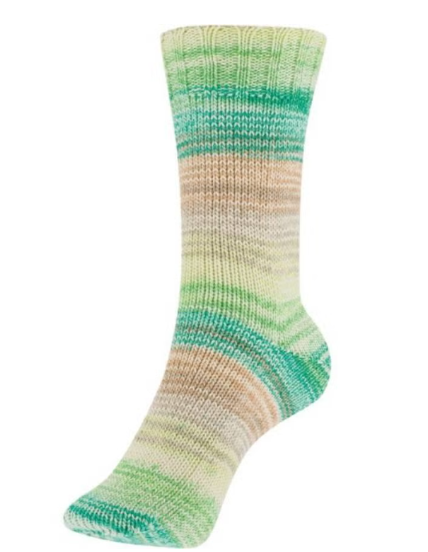 Schoeller + Stahl Fortissima Cotton 4f Miami